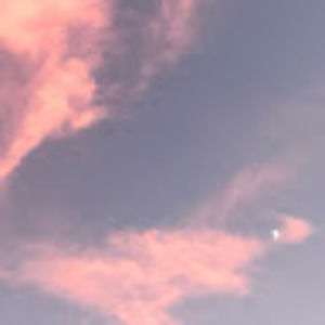 Meet your Posher, Autumn